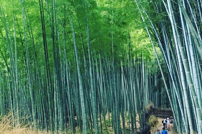 Private Full-Day Walking Tour of Kyoto - Exploring the Highlights of Kyoto
