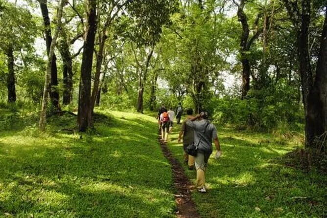 Private Full Day Wild Trails at Thekkady - The Practical Side: What You Need to Know