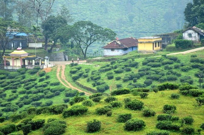 Private Full Day Wild Trails at Thekkady - Who Should Book This Tour?