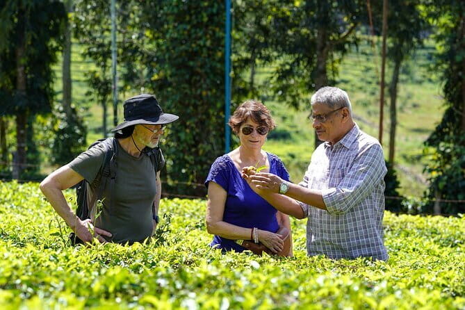 Private Full Day Wild Trails at Thekkady - Final Thoughts