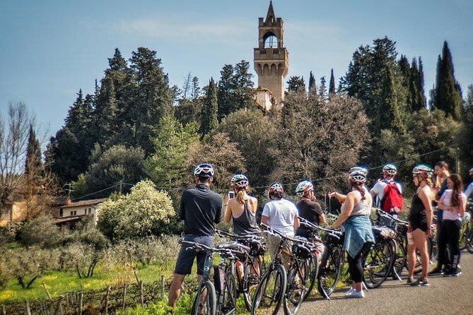 PRIVATE Full-Day Wine Experience in Chianti Classico. - Panzano in Chianti and the 11th-Century Tower