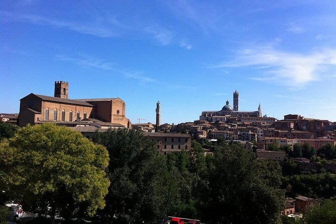 PRIVATE Full-Day Wine Experience in Chianti Classico. - Practical Details and Tips