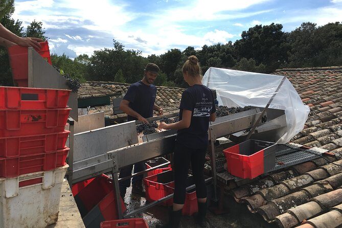 Private full day wine tour and Medieval Village from Montpellier - Final Thoughts