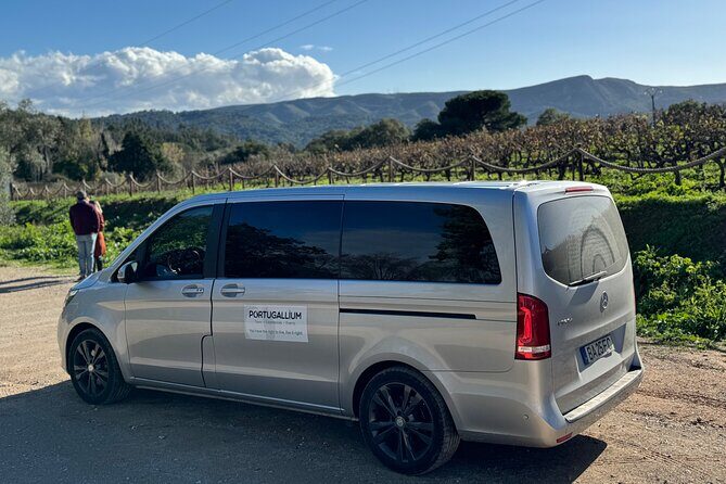 Private Full-Day Wine Tour Arrábida from Lisbon with Tastings - The Cultural Finale: Christ the Redeemer