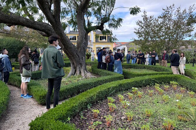 Private Full-Day Wine Tour Arrábida from Lisbon with Tastings - Who Is This Tour Best For?