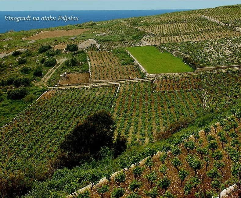 Private Full-Day Wine Tour from Dubrovnik to Peljesac - What Could Be Better?