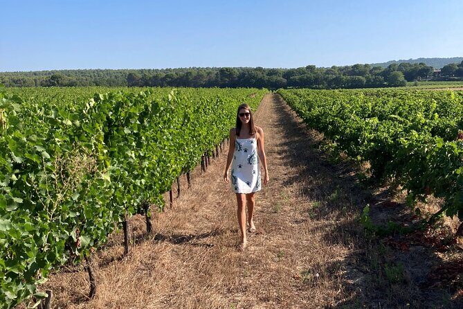 Private Full Day Wine Tour in Provence - A Day in the Vineyards: An In-Depth Look at the Itinerary