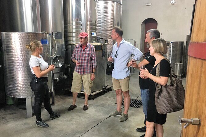 Private Full Day Wine Tour in Provence - Transportation and Comfort