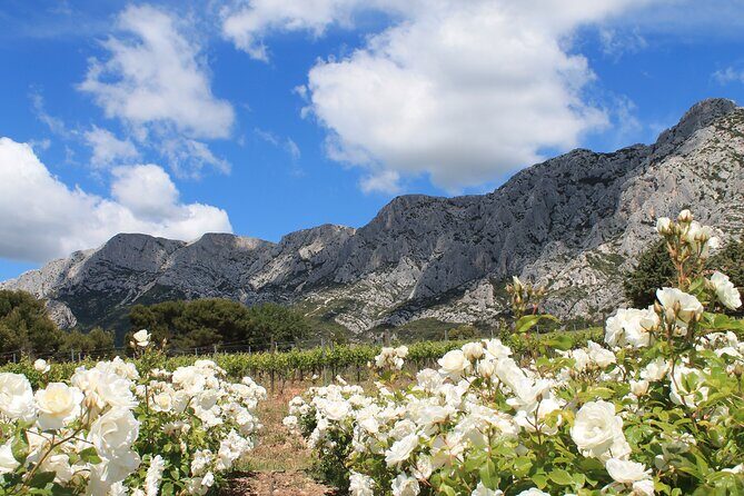 Private Full Day Wine Tour in Provence From Marseille cruise port - An In-Depth Look at the Provence Wine Tour