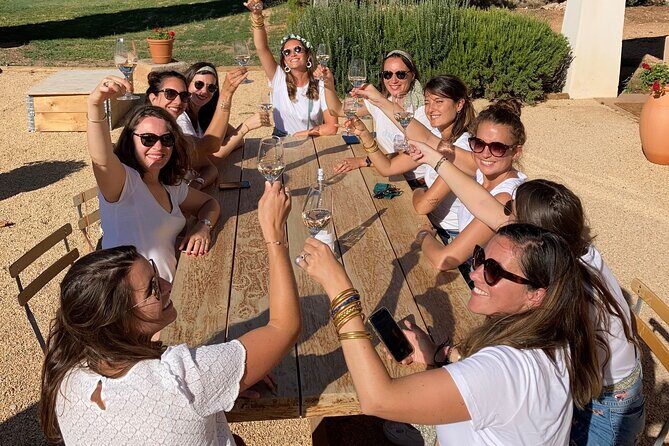 Private Full Day Wine Tour in Provence From Marseille cruise port - Who Is This Tour Perfect For?