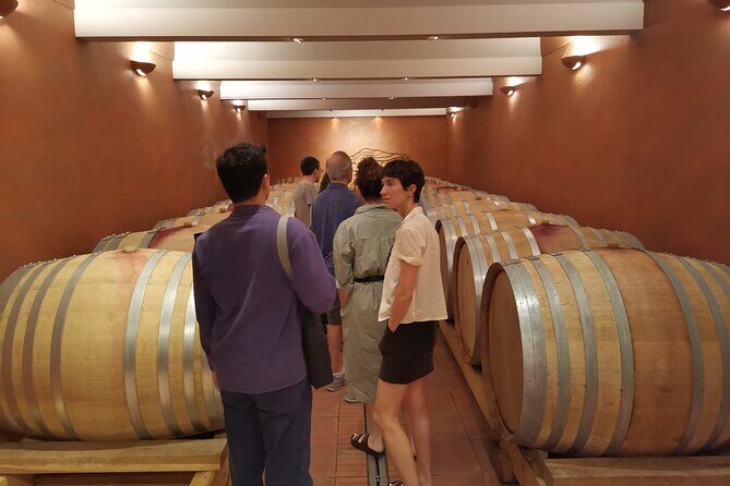 Private Full Day Wine Tour in Provence From Marseille cruise port - Frequently Asked Questions
