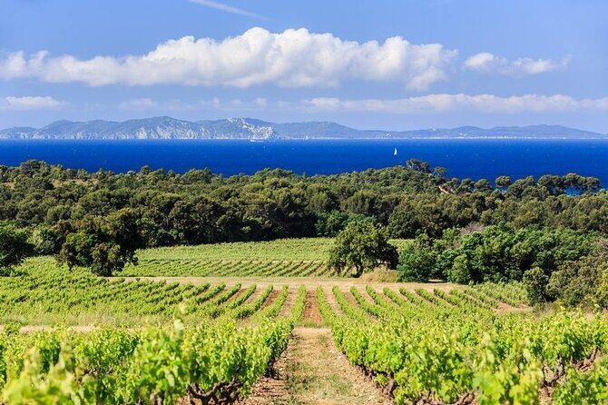 Private Full Day Wine Tour in Provence from Toulon Cruise Port - Exploring the Private Full Day Wine Tour in Provence from Toulon Cruise Port