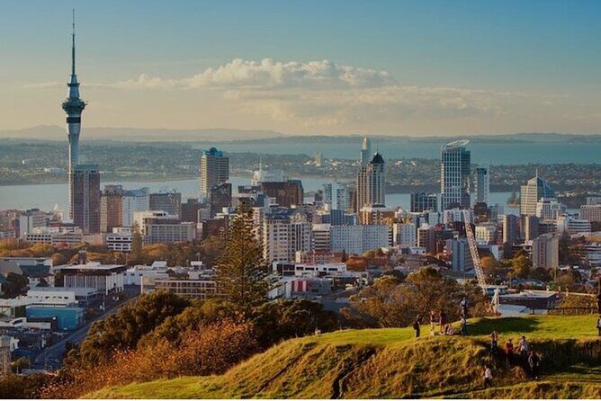 Private Full-Day Auckland Sightseeing Tour with Optional PihaBeach - An In-Depth Look at What You Can Expect