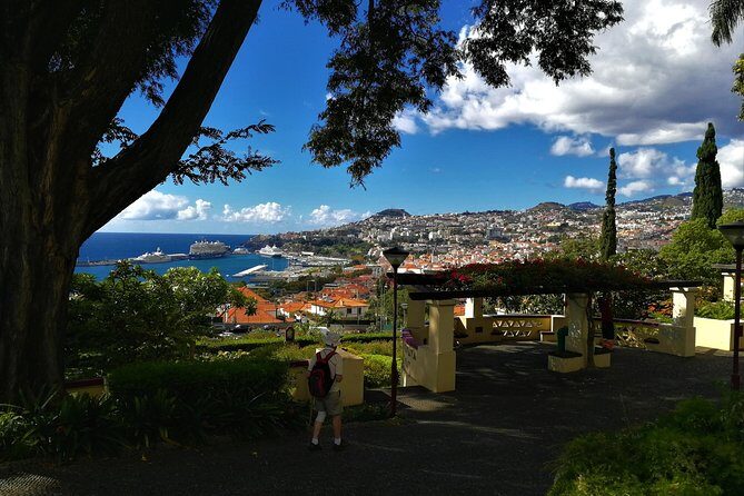 Private Funchal City Tour by Tukxi - In-Depth Look at the Tour Experience