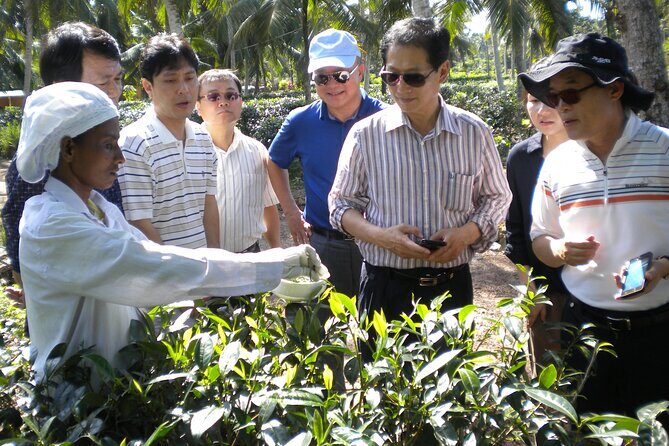 Private Galle Day Tour with Boat Safari & Tea Factory Visit - All Inclusive - FAQ