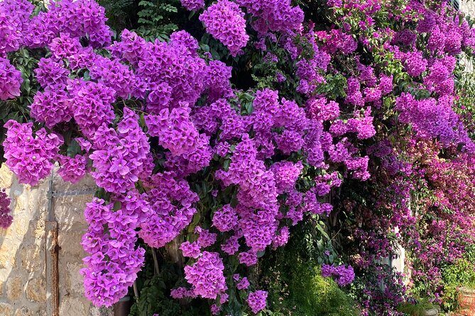 Private Game of Thrones Tour with King's Landing Garden - What’s Included and What’s Not?