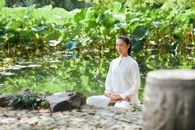 Private Garden Art Tour in Shanghai Yu Garden - Who Should Consider This Tour?