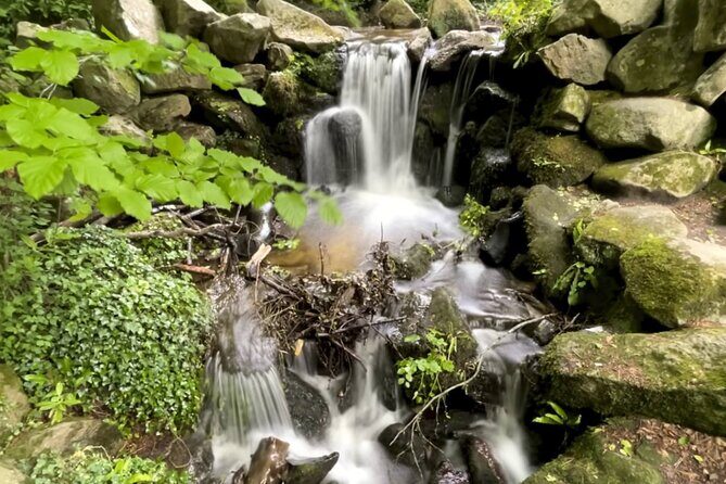 Private Garden of Ireland Wicklow Tour from Dublin - Key Points