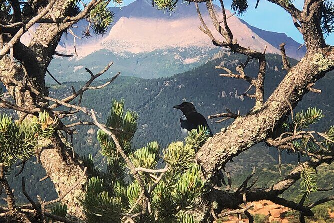 Private Garden of the Gods Jeep Tour - An In-Depth Look at the Tour Experience