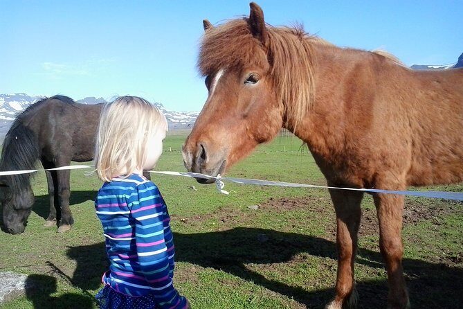 Private Golden Circle Tour from Reykjavik - Practical Details and Considerations