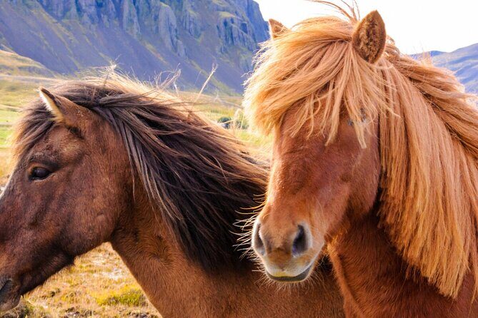 Private Golden Circle tour in a premium class car. - Itinerary Breakdown: Why Each Stop Matters