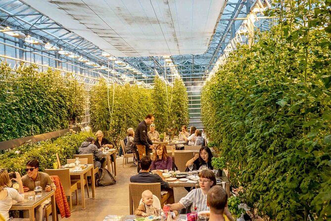 Private Golden Circle with Lunch at Tomato Farm (6 Locations) - The Sum Up