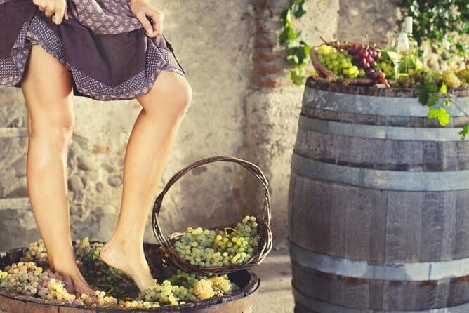 Private Grape stomping in Chianti from Florence - Key Points