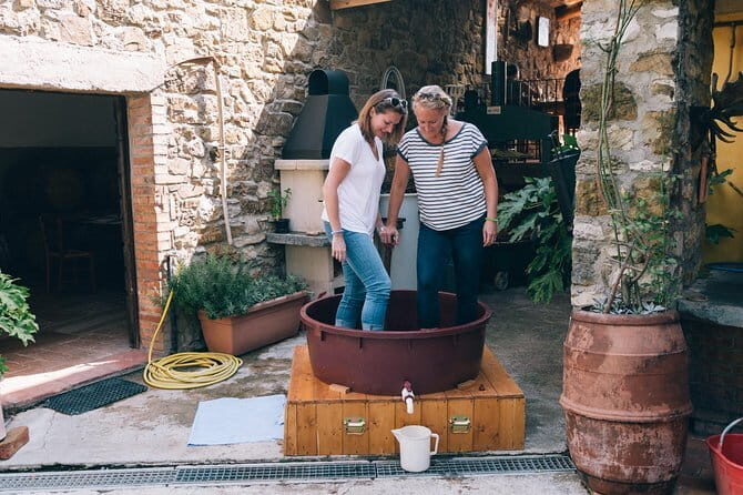 Private Grape stomping in Chianti from Florence - Itinerary Breakdown