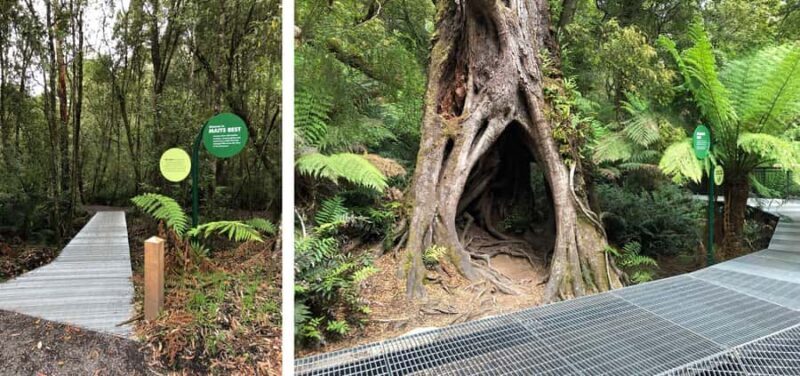 Private Great Ocean Road & 12 Apostles Experience - The Itinerary and What It Means for You