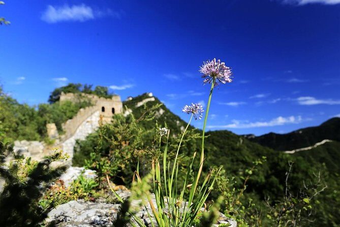 Private Great Wall Hiking from Jiankou to Mutianyu - Key Points