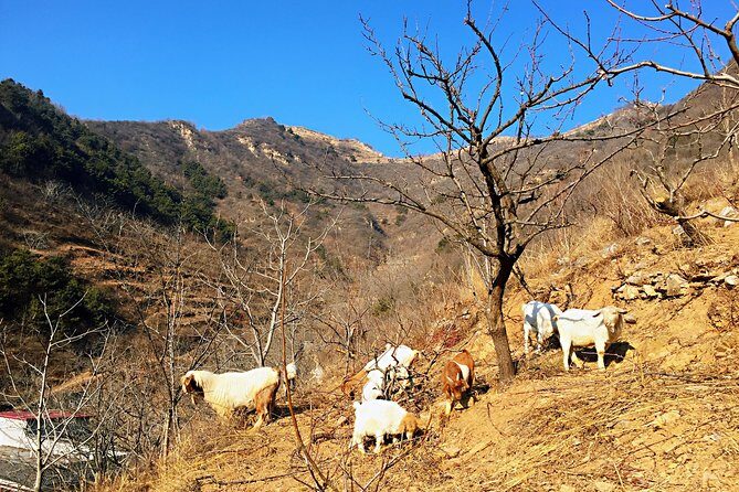 Private Great Wall Hiking Tour: Across The Border of 3 China Provinces - Final thoughts