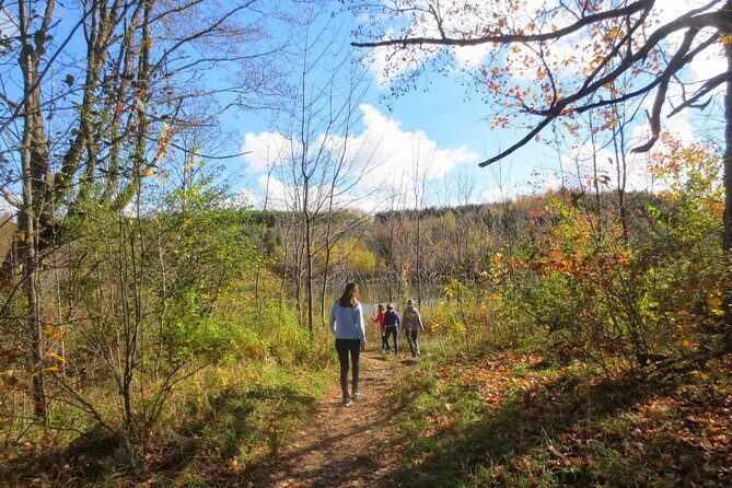 Private Greater Toronto DriveSpa Tour with Lunch - What the Reviews Say