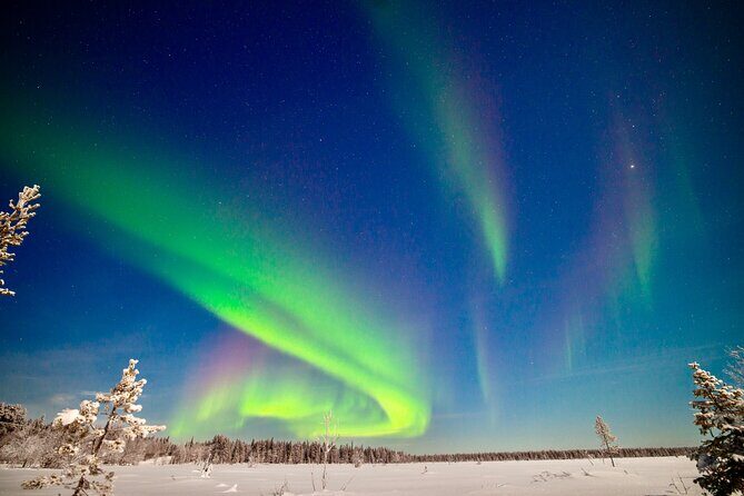 Private Group: Northern Lights Hunt 4x4 SUV with Aurora guarantee - Key Points