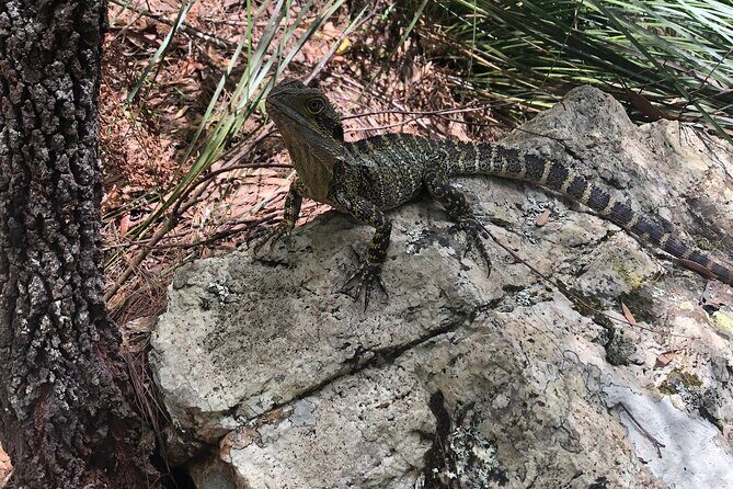 Private Group Tour Brisbane & Gold Coast Personal Tours - Guides and Personal Service