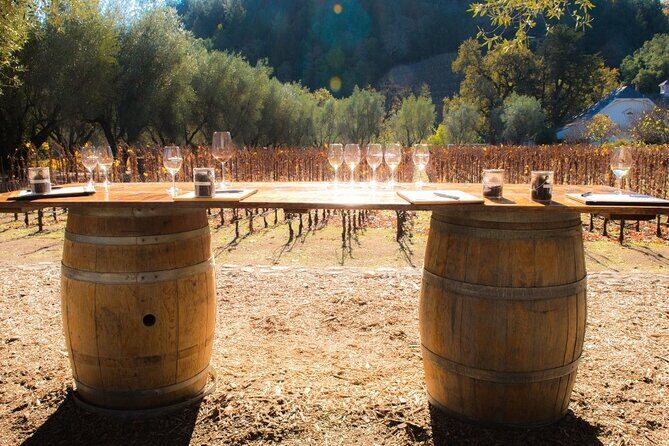 Private Group Wine Tours in Napa Valley - Cost and Value Analysis