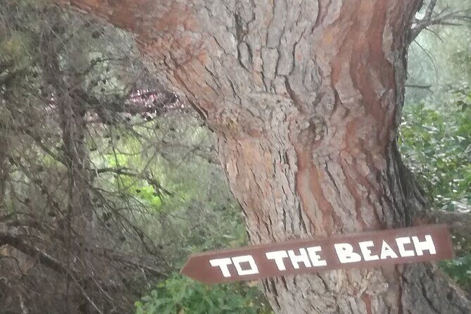 (Private group)Swimming and relax in beautiful beaches. - Authentic Experiences & Real Traveler Feedback