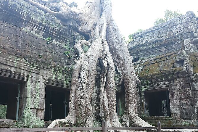 Private Guide In and Around Siem Reap: Custom tour - Key Points