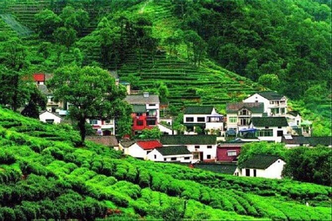 Private Guide Service - What Makes This Tour Stand Out?