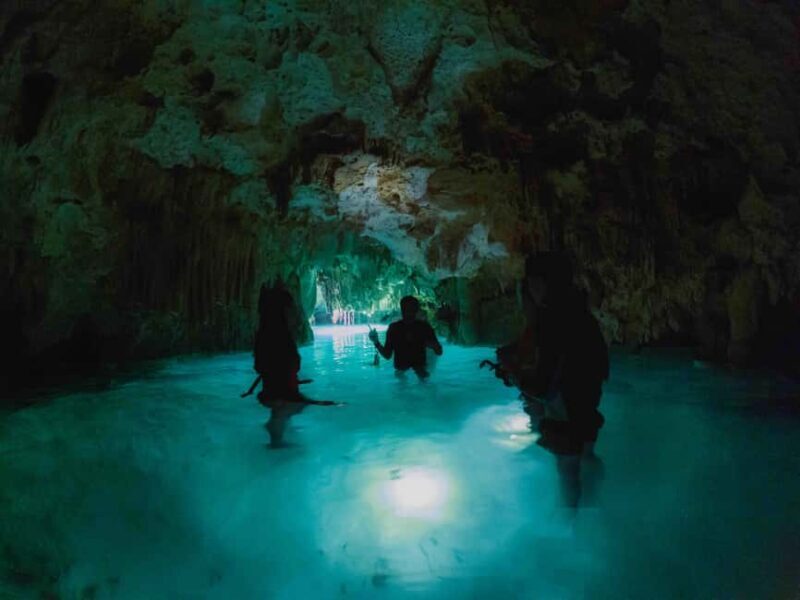 Private Guided Cave & Open Cenote Swim with Lunch - Key Points