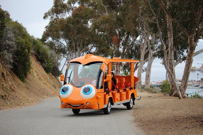 Private Guided City Tour up to 12 Passengers - Key Points