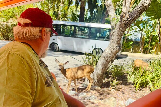 Private Guided City Tour up to 12 Passengers - Practical Details and Considerations