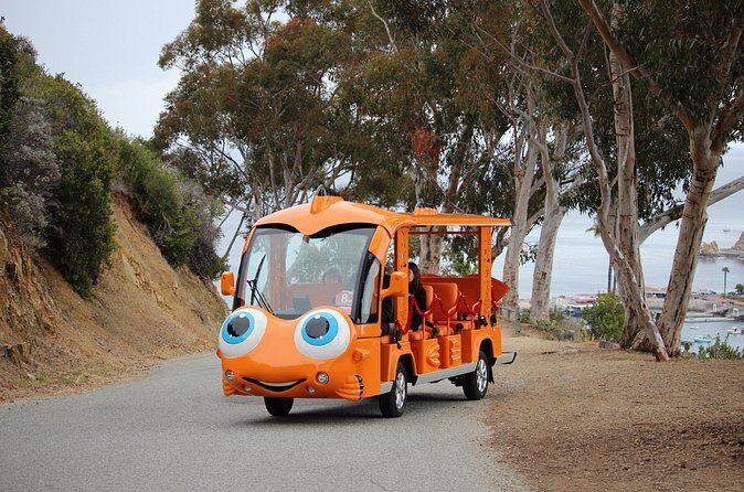 Private Guided City Tour up to 12 Passengers - Authentic Feedback from Past Travelers