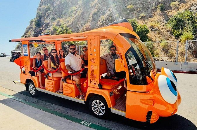 Private Guided City Tour up to 12 Passengers - The Sum Up