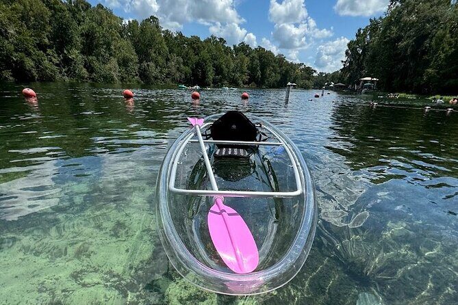 Private Guided Clear Kayak/Paddleboard Rentals on Rainbow River - Key Points
