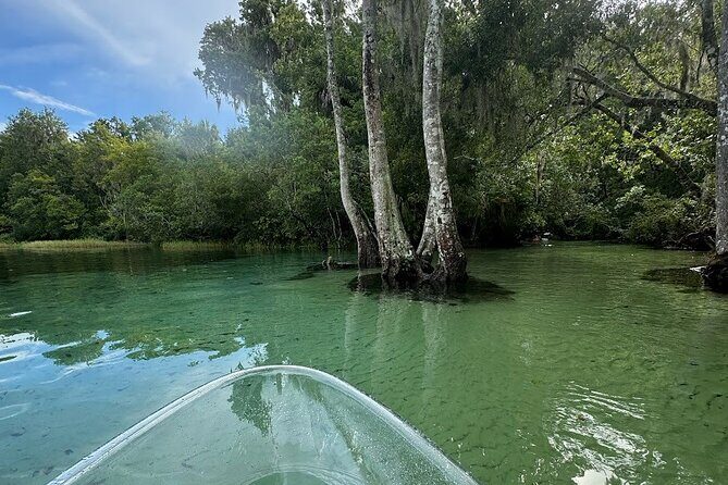 Private Guided Clear Kayak/Paddleboard Rentals on Rainbow River - Exploring Rainbow River: What to Expect