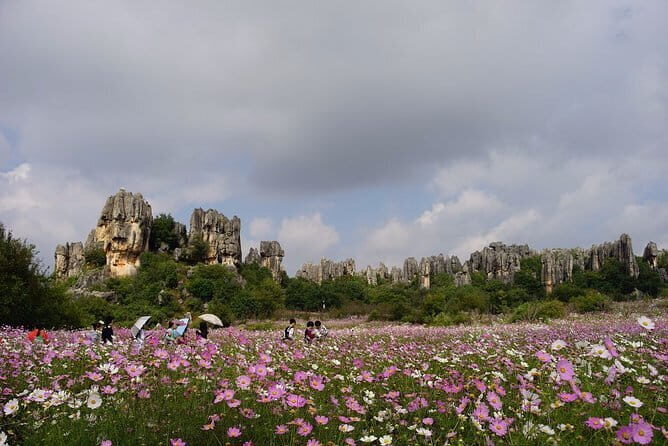 Private Guided Day Tour of Stone Forest and Naigu Stone Forest from Kunming - The Price and Its Value