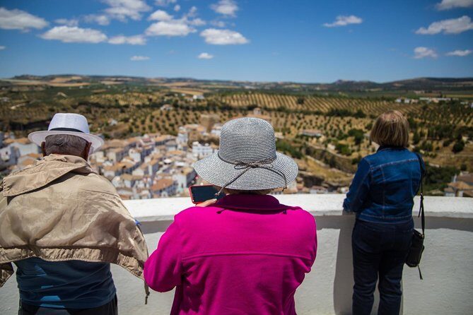 Private Guided Day Trip to the White Villages and Ronda from Seville - A Deep Dive into the Tour Experience