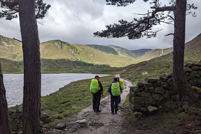 Private Guided Discovery Walk in the Cairngorms - A Deep Dive into the Cairngorms Discovery Walk