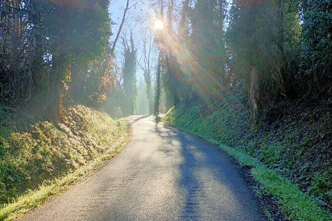 Private Guided E-bike Tour in Bertinoro - Final Thoughts