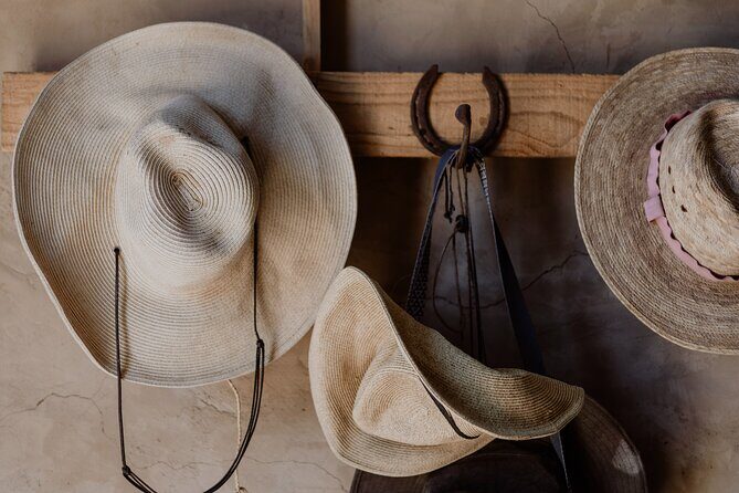 Private Guided Equine Meditation in Baja California - Authenticity and What Travelers Say